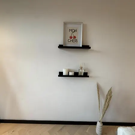 Central Amsterdam 2Br Penthouse With Balcony Near Van Gogh Museum アパート アムステルダム