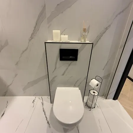 Central Amsterdam 2Br Penthouse With Balcony Near Van Gogh Museum アムステルダム